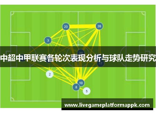 中超中甲联赛各轮次表现分析与球队走势研究